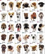 2-köpek-cinsleri-listesi-resimli.jpg 2-köpek-cinsleri-listesi-resimli.jpg